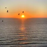 Surf Vista - Da Areia Branca * Lourinhã