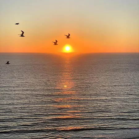 Surf Vista - Da Areia Branca * Lourinhã